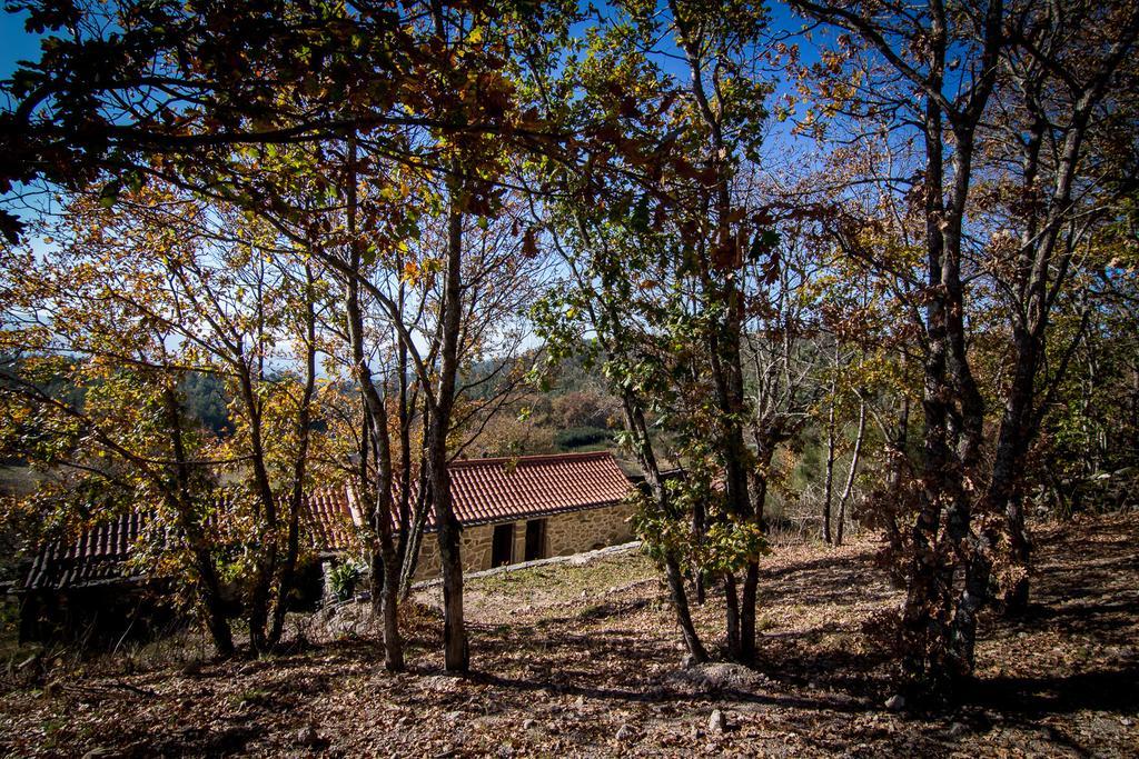 Casas Dos Avos Pensionat Vale de Cambra Værelse billede