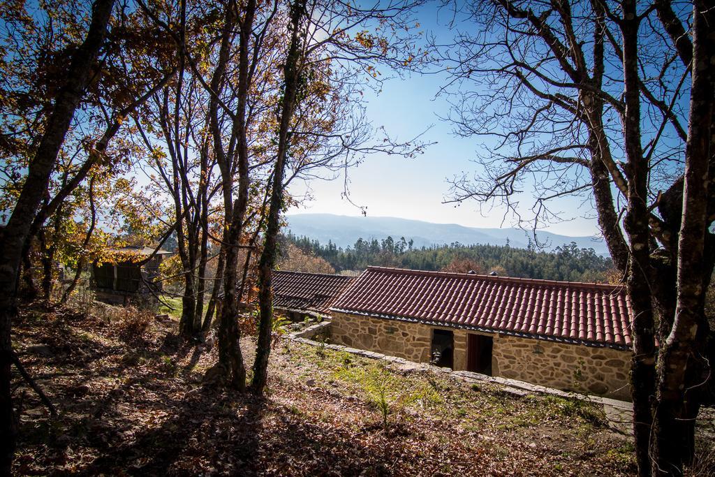 Casas Dos Avos Pensionat Vale de Cambra Værelse billede